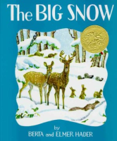 The_big_snow